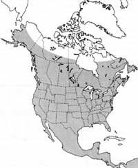 Map of the far-ranging great horned owl's territory in the U.S. and beyond.